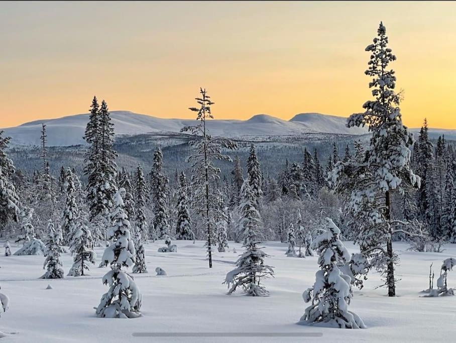 Mountain Cabin Lofsdalen Zewnętrze zdjęcie