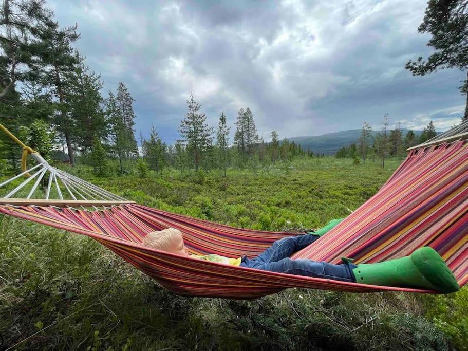 Mountain Cabin Lofsdalen Zewnętrze zdjęcie