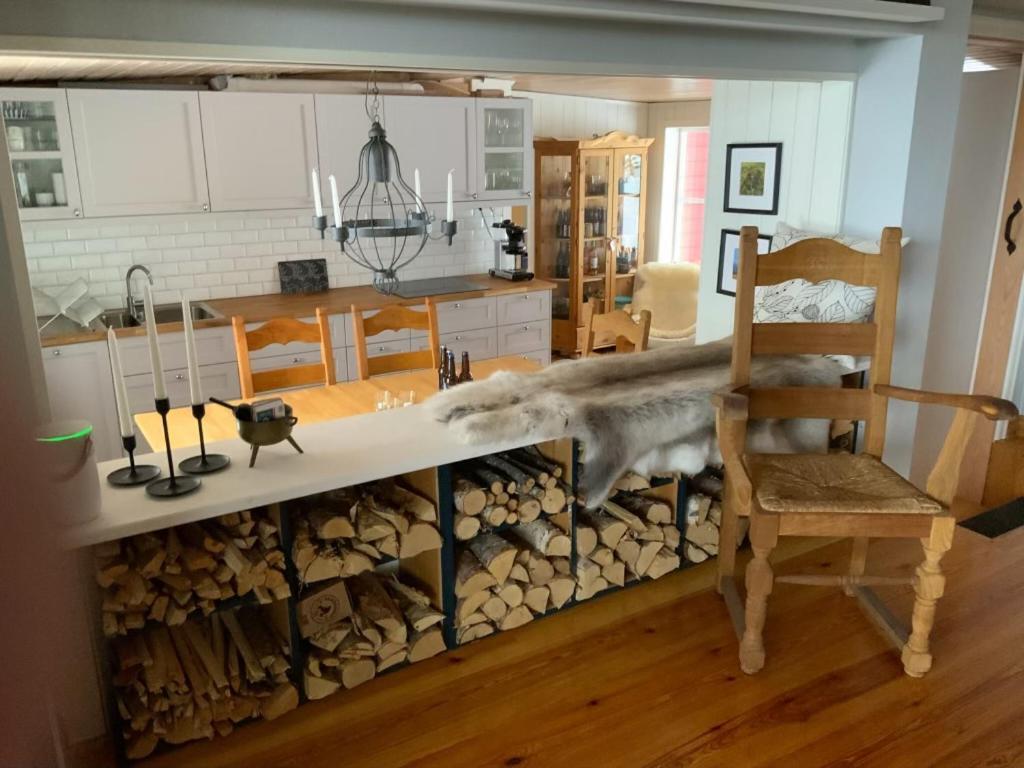 Mountain Cabin Lofsdalen Zewnętrze zdjęcie
