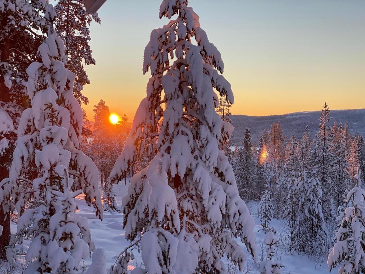 Mountain Cabin Lofsdalen Zewnętrze zdjęcie