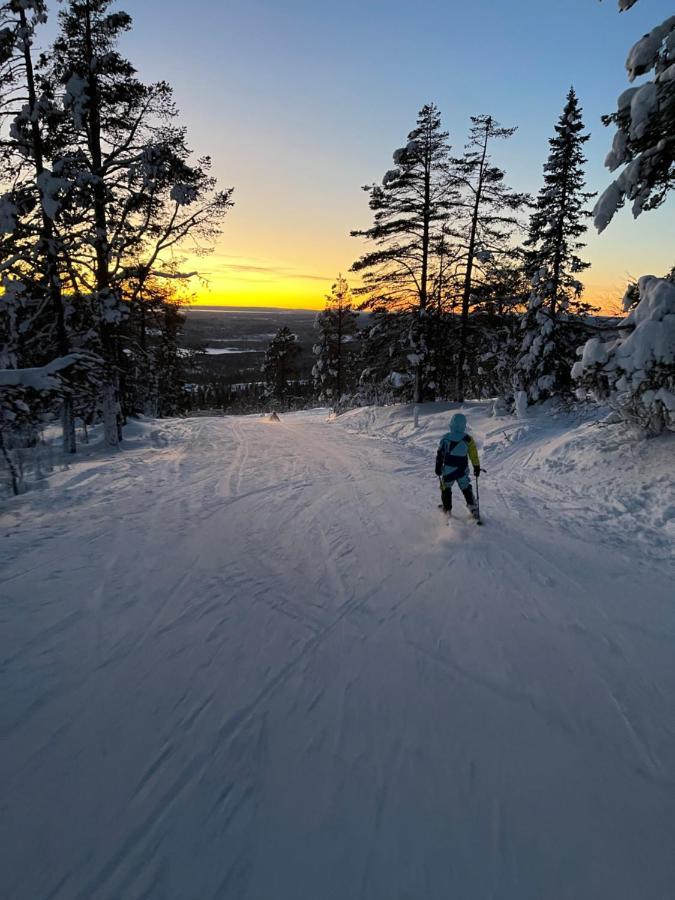 Mountain Cabin Lofsdalen Zewnętrze zdjęcie