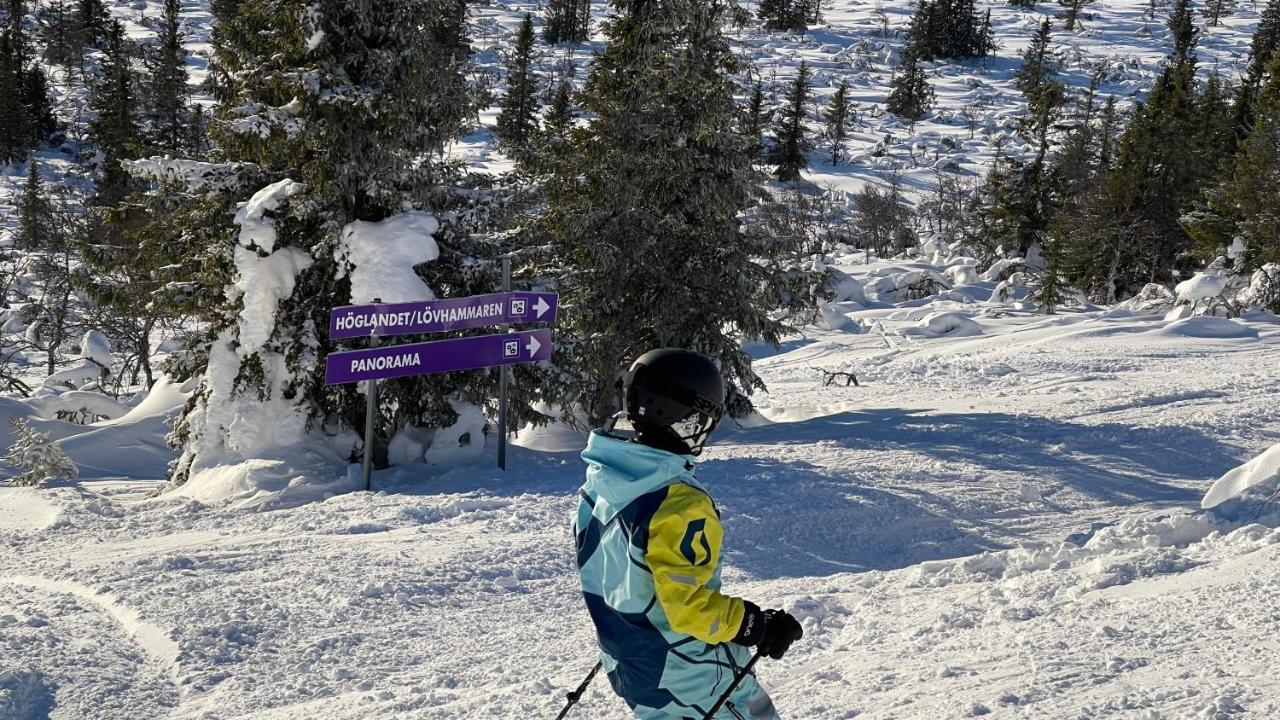Mountain Cabin Lofsdalen Zewnętrze zdjęcie
