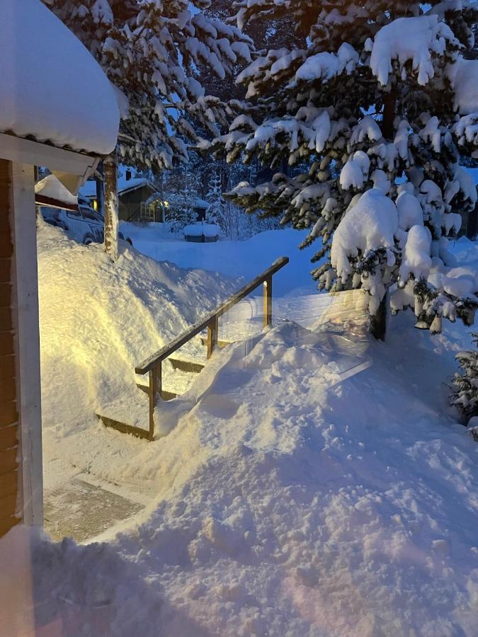 Mountain Cabin Lofsdalen Zewnętrze zdjęcie
