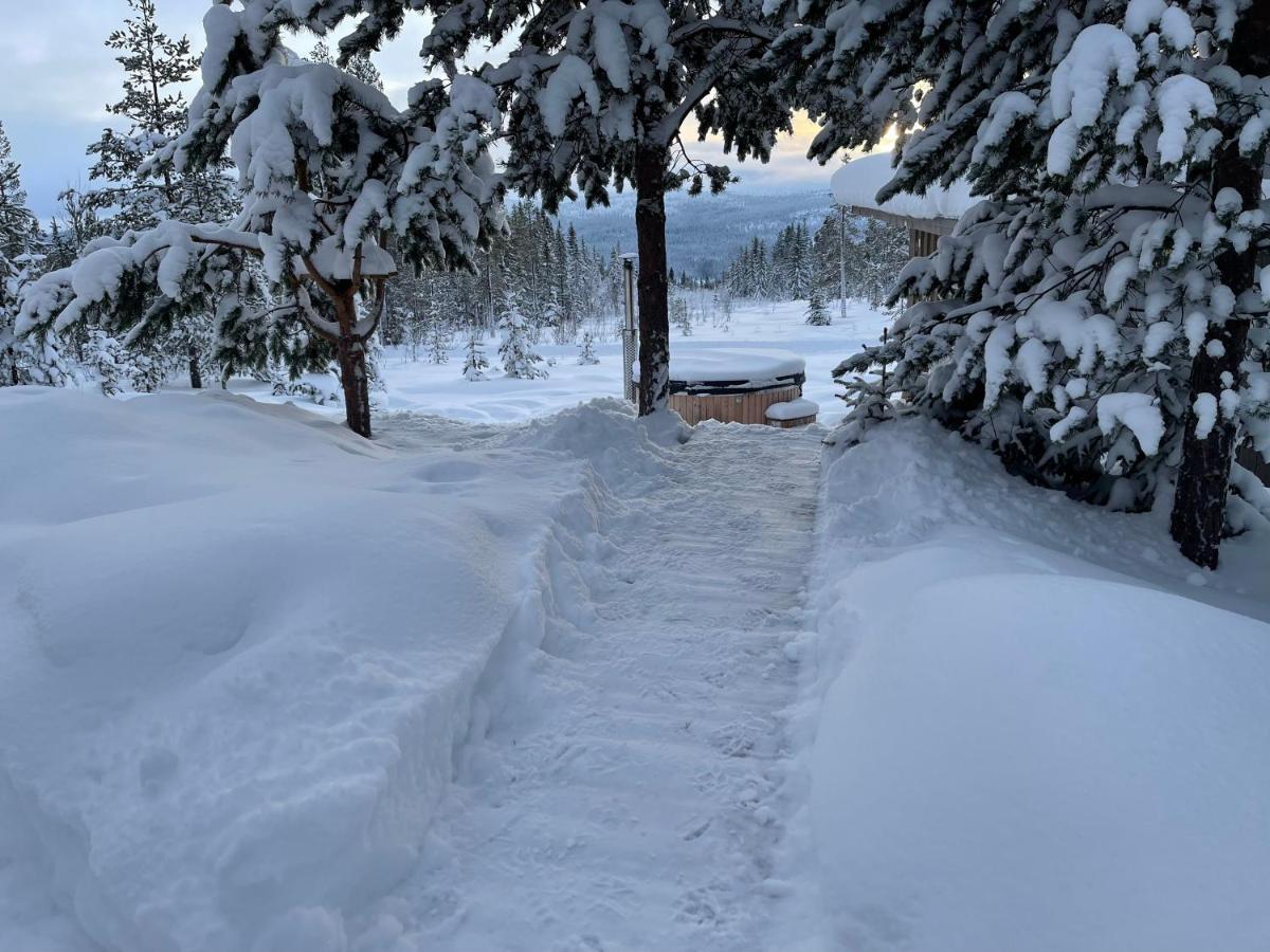 Mountain Cabin Lofsdalen Zewnętrze zdjęcie