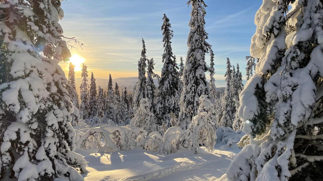 Mountain Cabin Lofsdalen Zewnętrze zdjęcie