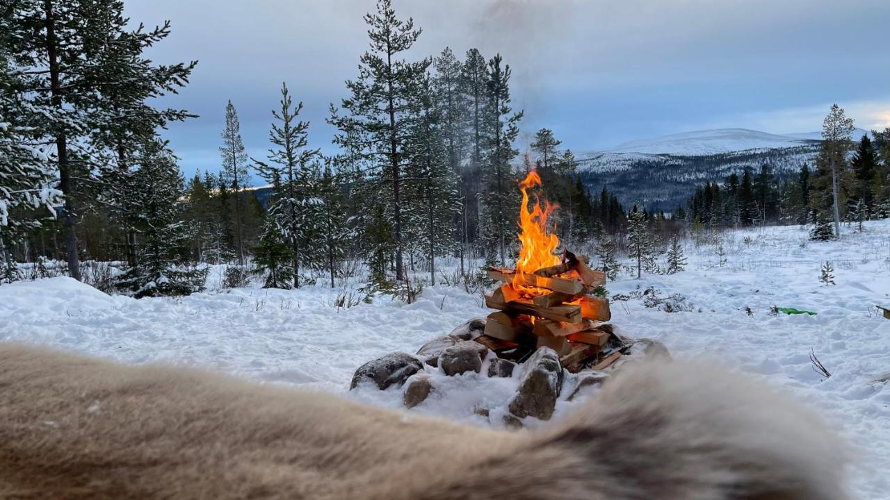 Mountain Cabin Lofsdalen Zewnętrze zdjęcie